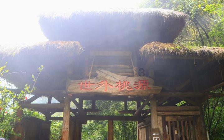 寻找答案,尽在